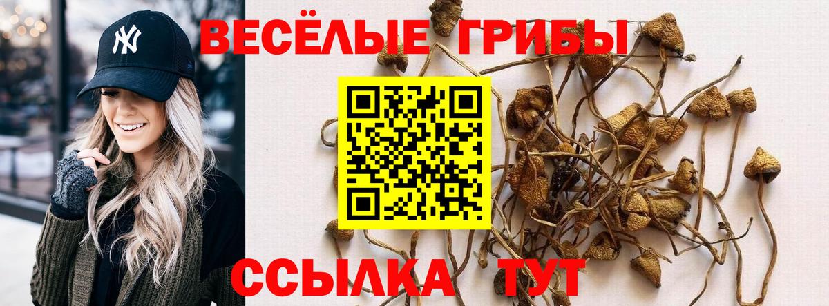Галлюциногенные грибы прущие грибы  Вход с VPN  дарнет шоп  Урюпинск 
