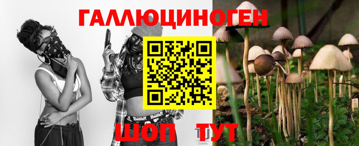 Галлюциногенные грибы мицелий Урюпинск